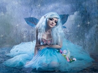 Ice Fairy