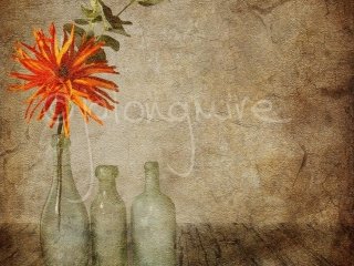 Still Life with Bottles