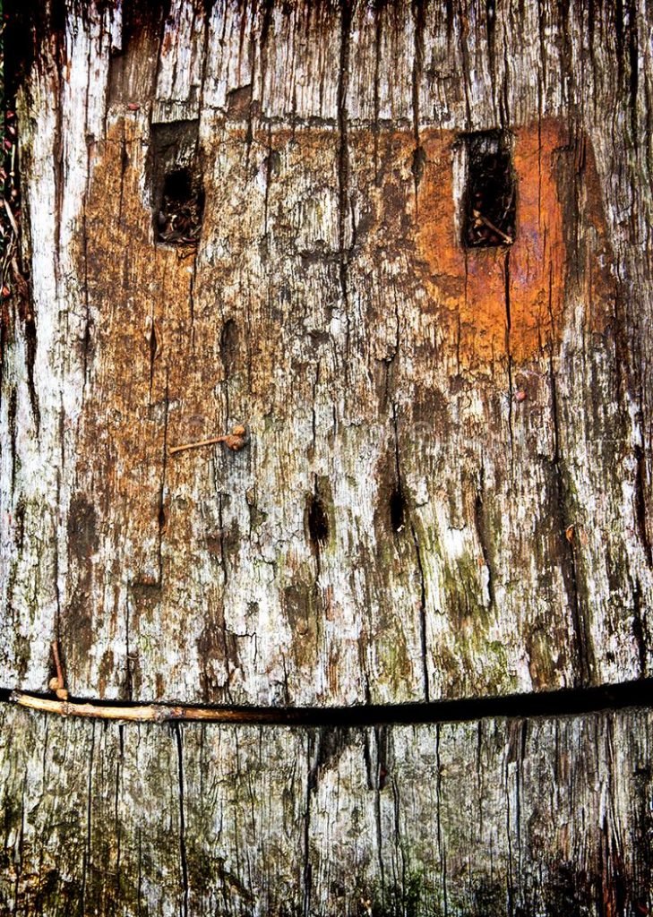 Wooden Stare