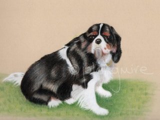 Ben