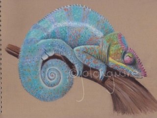 Chameleon