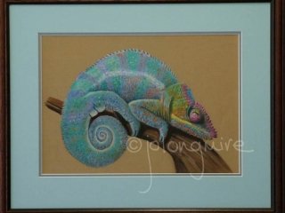Chameleon framed