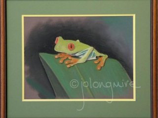 Tree Frog framed