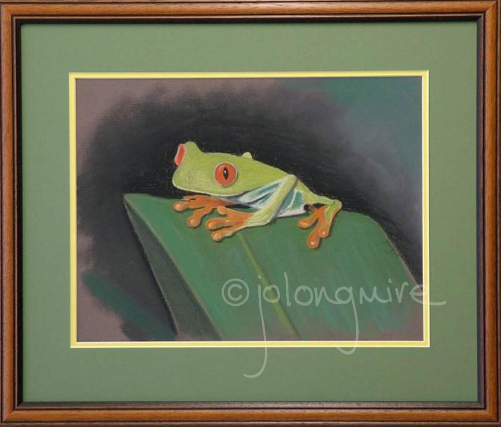 Tree Frog framed