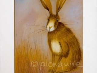 Hare 2