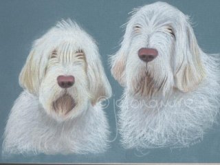 Jean's Dogs