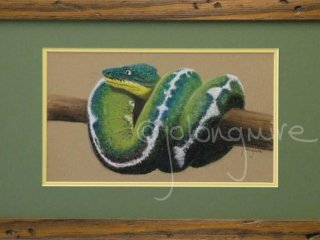 Snake