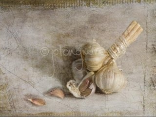 Garlic