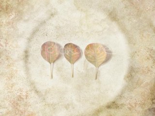 Autumnal