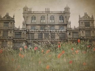 Woollaton