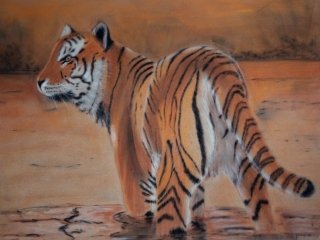 Tiger, Tiger...